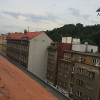 941_1637692082.jpg