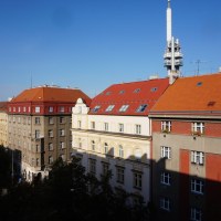 9667_1750197415.jpg