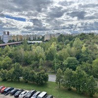 995_4151449180.jpg